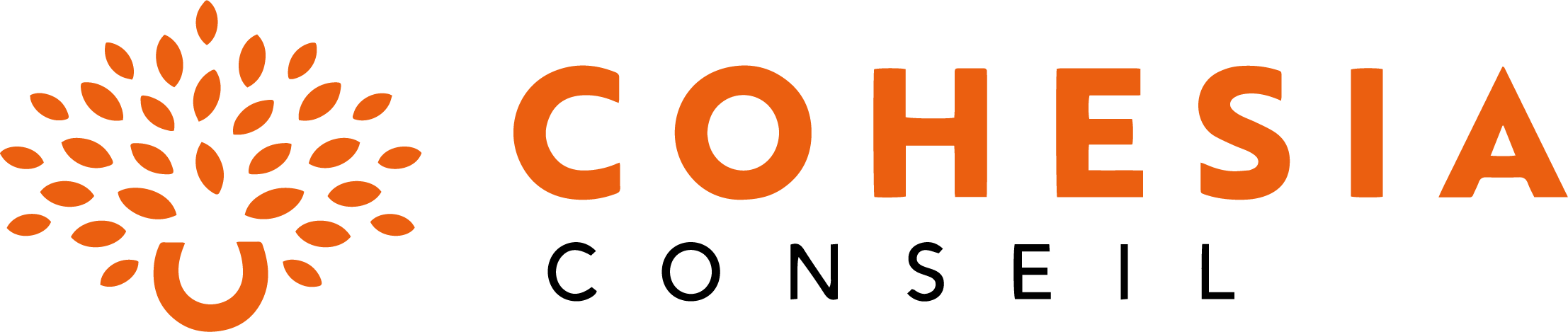 Cohésia conseil
